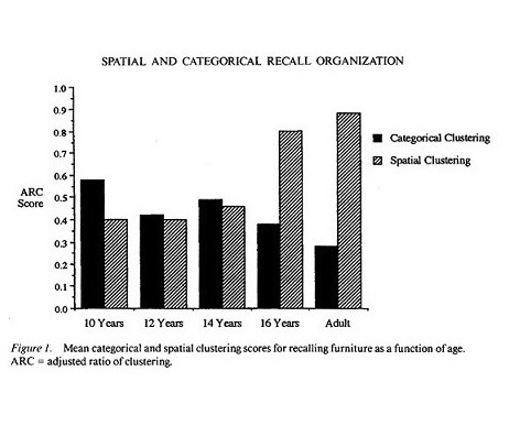 Spatial and Categorical Recall Organization chart